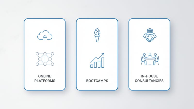 Four categories of AI training providers: government, industry bodies, universities, consultancies